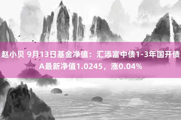 赵小贝 9月13日基金净值：汇添富中债1-3年国开债A最新净值1.0245，涨0.04%