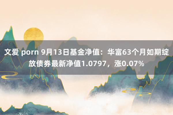 文爱 porn 9月13日基金净值：华富63个月如期绽放债券最新净值1.0797，涨0.07%