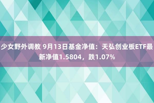 少女野外调教 9月13日基金净值：天弘创业板ETF最新净值1.5804，跌1.07%