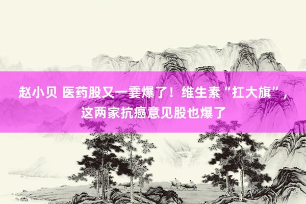 赵小贝 医药股又一霎爆了！维生素“扛大旗”，这两家抗癌意见股也爆了