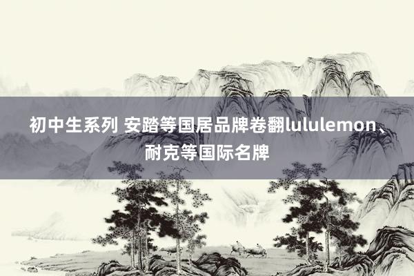 初中生系列 安踏等国居品牌卷翻lululemon、耐克等国际名牌