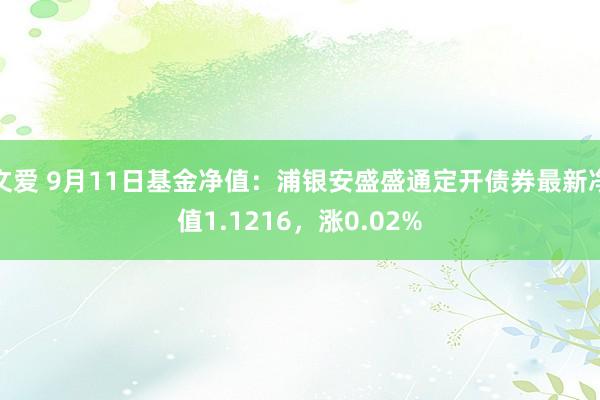 文爱 9月11日基金净值：浦银安盛盛通定开债券最新净值1.1216，涨0.02%