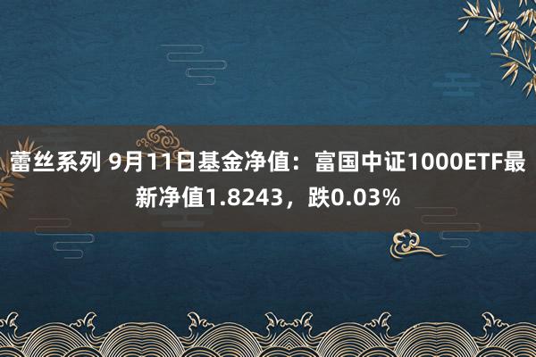 蕾丝系列 9月11日基金净值：富国中证1000ETF最新净值1.8243，跌0.03%