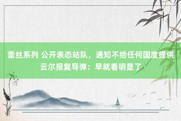 蕾丝系列 公开表态站队，通知不给任何国度提供云尔报复导弹：早就看明显了