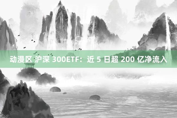 动漫区 沪深 300ETF：近 5 日超 200 亿净流入