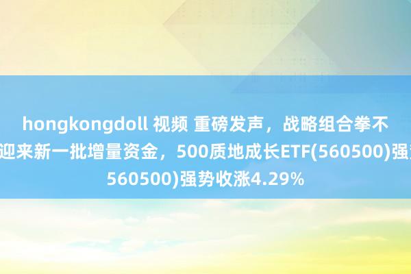 hongkongdoll 视频 重磅发声，战略组合拳不停，A股有望迎来新一批增量资金，500质地成长ETF(560500)强势收涨4.29%