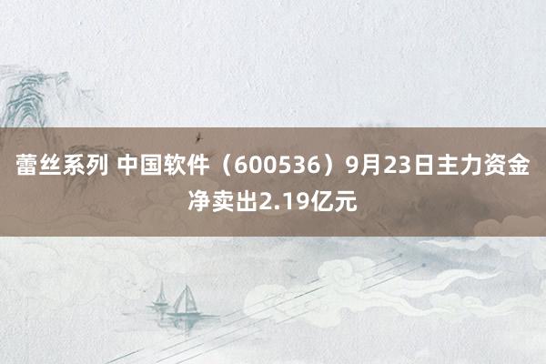 蕾丝系列 中国软件（600536）9月23日主力资金净卖出2.19亿元