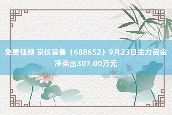 免费视频 京仪装备（688652）9月23日主力资金净卖出307.00万元