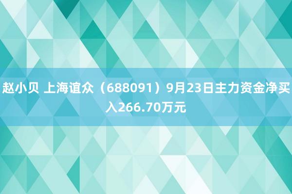 赵小贝 上海谊众（688091）9月23日主力资金净买入266.70万元