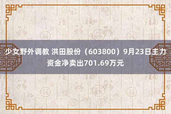 少女野外调教 洪田股份（603800）9月23日主力资金净卖出701.69万元