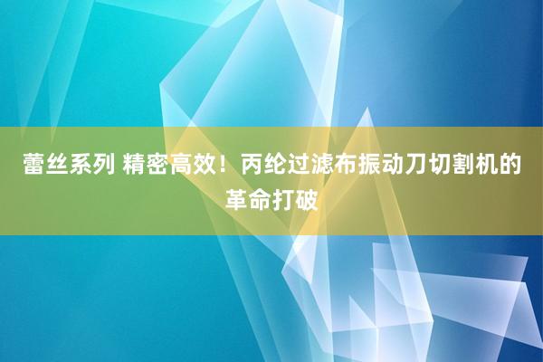 蕾丝系列 精密高效！丙纶过滤布振动刀切割机的革命打破