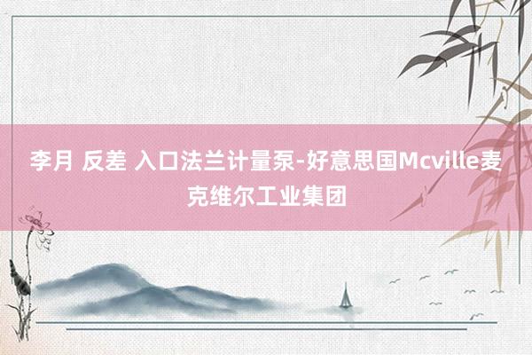 李月 反差 入口法兰计量泵-好意思国Mcville麦克维尔工业集团