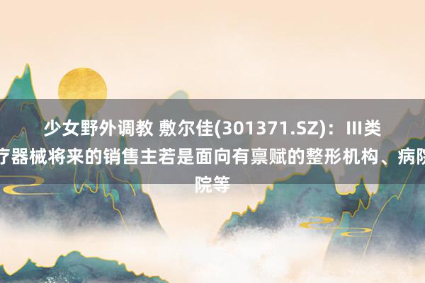 少女野外调教 敷尔佳(301371.SZ)：Ⅲ类医疗器械将来的销售主若是面向有禀赋的整形机构、病院等