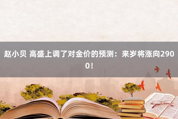 赵小贝 高盛上调了对金价的预测：来岁将涨向2900！