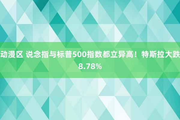 动漫区 说念指与标普500指数都立异高！特斯拉大跌8.78%