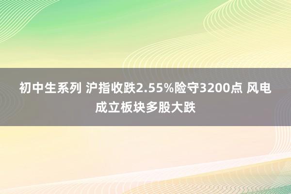 初中生系列 沪指收跌2.55%险守3200点 风电成立板块多股大跌