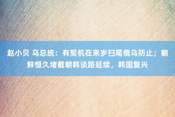 赵小贝 乌总统：有契机在来岁扫尾俄乌防止；朝鲜恒久堵截朝韩谈路延续，韩国复兴