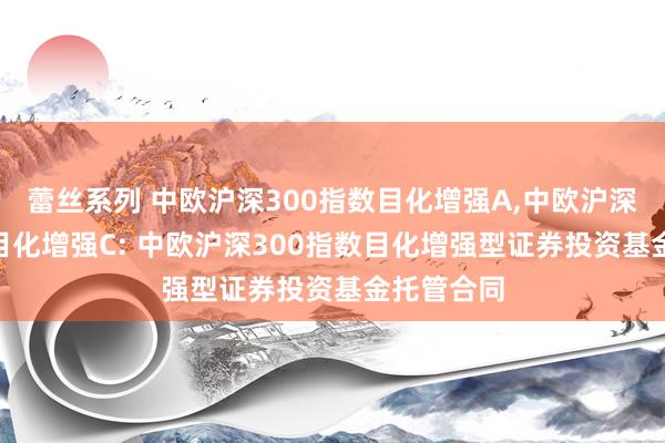 蕾丝系列 中欧沪深300指数目化增强A，中欧沪深300指数目化增强C: 中欧沪深300指数目化增强型证券投资基金托管合同