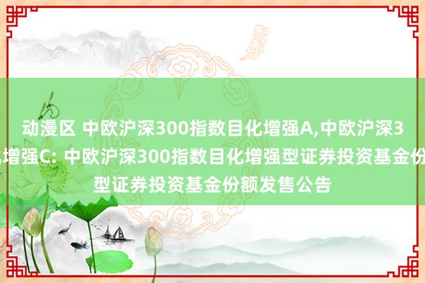 动漫区 中欧沪深300指数目化增强A，中欧沪深300指数目化增强C: 中欧沪深300指数目化增强型证券投资基金份额发售公告