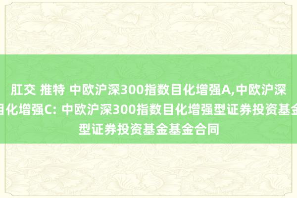 肛交 推特 中欧沪深300指数目化增强A，中欧沪深300指数目化增强C: 中欧沪深300指数目化增强型证券投资基金基金合同