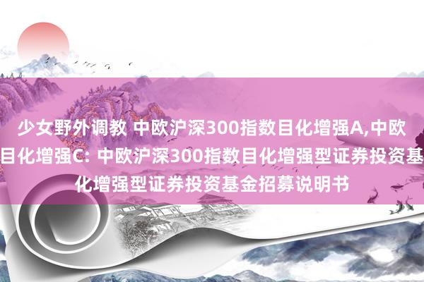 少女野外调教 中欧沪深300指数目化增强A，中欧沪深300指数目化增强C: 中欧沪深300指数目化增强型证券投资基金招募说明书