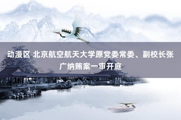 动漫区 北京航空航天大学原党委常委、副校长张广纳贿案一审开庭