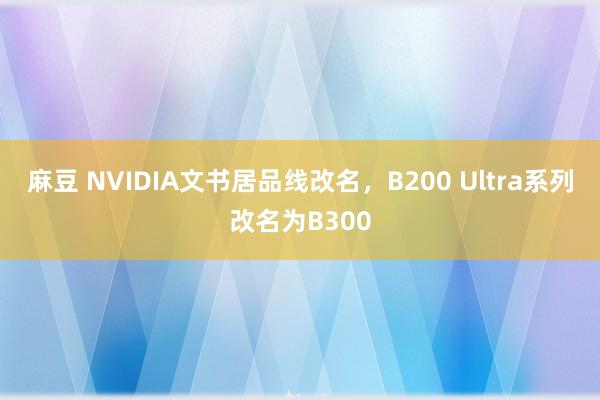 麻豆 NVIDIA文书居品线改名，B200 Ultra系列改名为B300