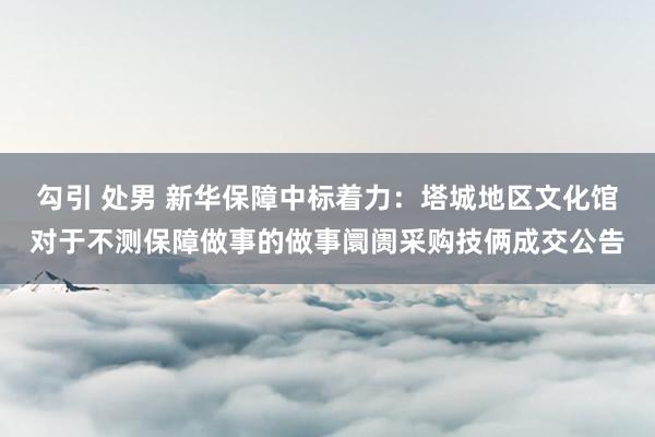 勾引 处男 新华保障中标着力：塔城地区文化馆对于不测保障做事的做事阛阓采购技俩成交公告