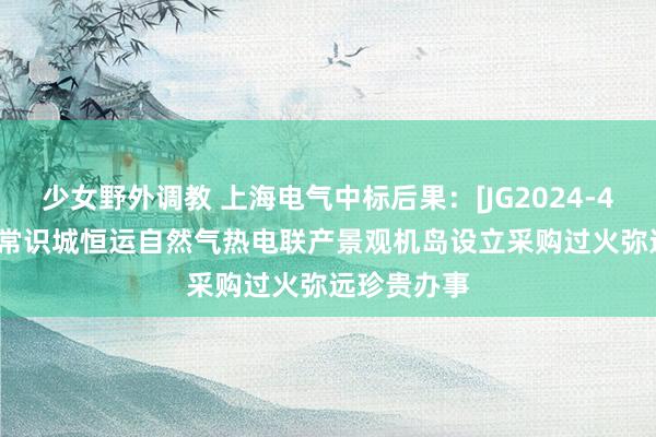 少女野外调教 上海电气中标后果：[JG2024-4685] 广州常识城恒运自然气热电联产景观机岛设立采购过火弥远珍贵办事