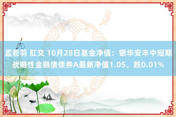 孟若羽 肛交 10月28日基金净值：银华安丰中短期战略性金融债债券A最新净值1.05，跌0.01%