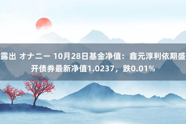 露出 オナニー 10月28日基金净值：鑫元淳利依期盛开债券最新净值1.0237，跌0.01%