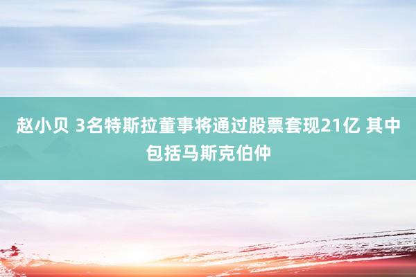 赵小贝 3名特斯拉董事将通过股票套现21亿 其中包括马斯克伯仲