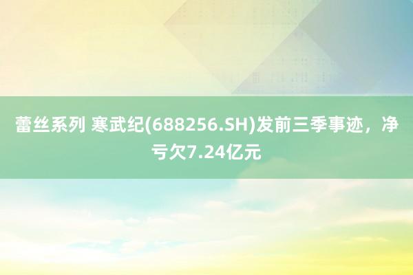 蕾丝系列 寒武纪(688256.SH)发前三季事迹，净亏欠7.24亿元