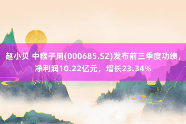 赵小贝 中猴子用(000685.SZ)发布前三季度功绩，净利润10.22亿元，增长23.34%