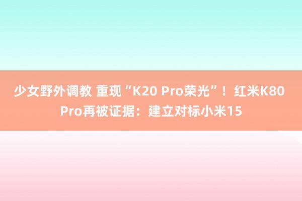 少女野外调教 重现“K20 Pro荣光”！红米K80 Pro再被证据：建立对标小米15