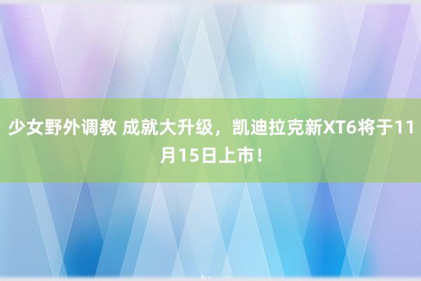 少女野外调教 成就大升级，凯迪拉克新XT6将于11月15日上市！