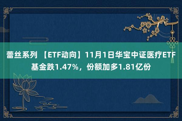 蕾丝系列 【ETF动向】11月1日华宝中证医疗ETF基金跌1.47%，份额加多1.81亿份