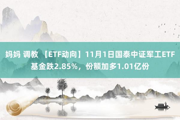 妈妈 调教 【ETF动向】11月1日国泰中证军工ETF基金跌2.85%，份额加多1.01亿份