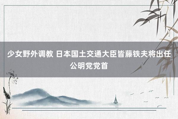 少女野外调教 日本国土交通大臣皆藤铁夫将出任公明党党首