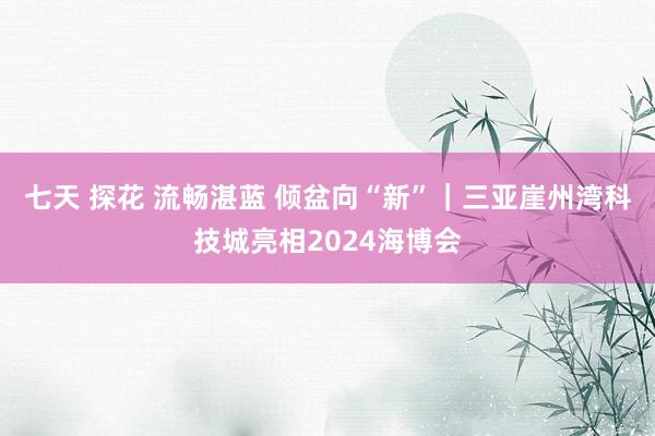 七天 探花 流畅湛蓝 倾盆向“新”｜三亚崖州湾科技城亮相2024海博会