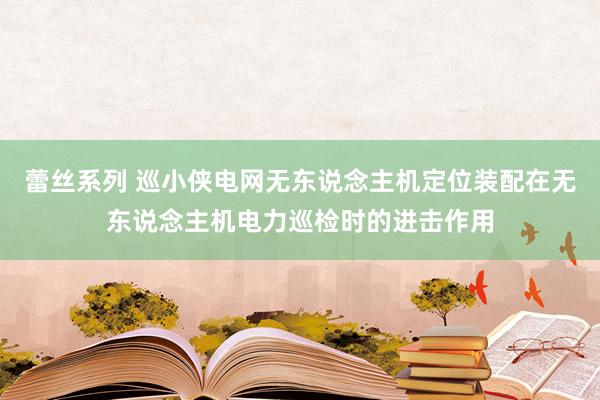 蕾丝系列 巡小侠电网无东说念主机定位装配在无东说念主机电力巡检时的进击作用