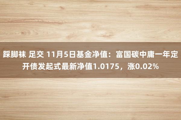 踩脚袜 足交 11月5日基金净值：富国碳中庸一年定开债发起式最新净值1.0175，涨0.02%