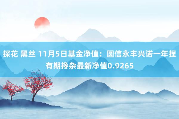 探花 黑丝 11月5日基金净值：圆信永丰兴诺一年捏有期搀杂最新净值0.9265