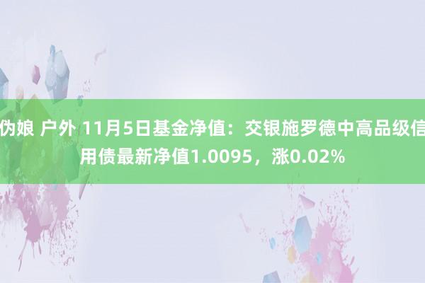 伪娘 户外 11月5日基金净值：交银施罗德中高品级信用债最新净值1.0095，涨0.02%