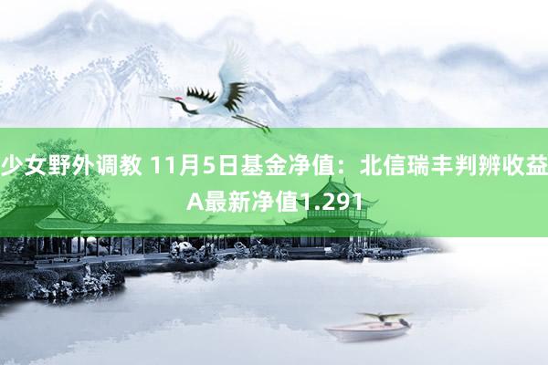 少女野外调教 11月5日基金净值：北信瑞丰判辨收益A最新净值1.291