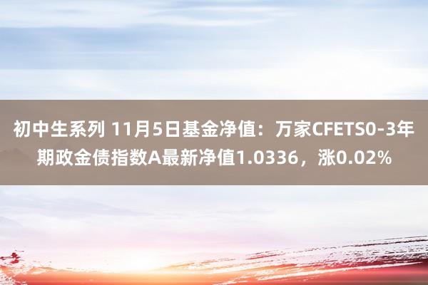 初中生系列 11月5日基金净值：万家CFETS0-3年期政金债指数A最新净值1.0336，涨0.02%