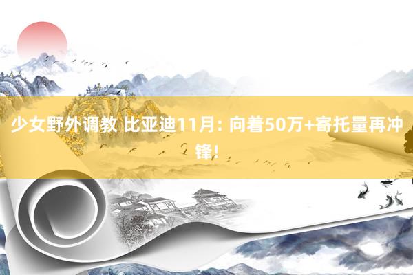 少女野外调教 比亚迪11月: 向着50万+寄托量再冲锋!