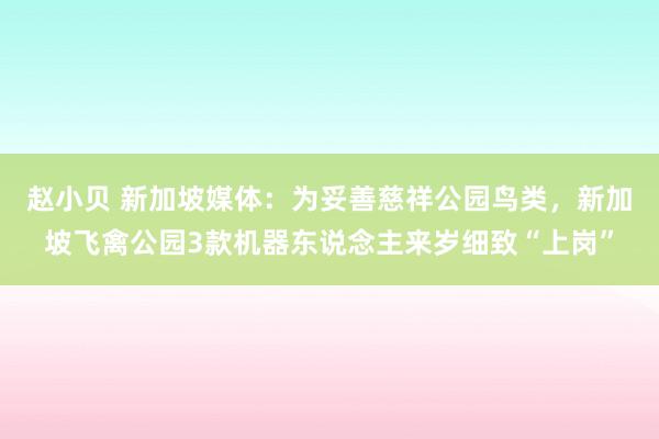 赵小贝 新加坡媒体：为妥善慈祥公园鸟类，新加坡飞禽公园3款机器东说念主来岁细致“上岗”