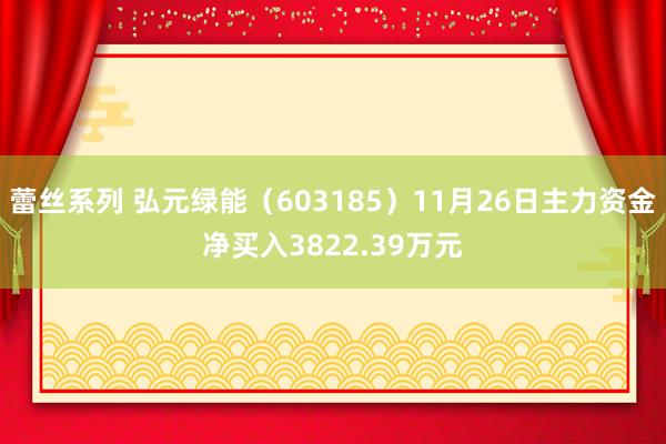 蕾丝系列 弘元绿能（603185）11月26日主力资金净买入3822.39万元