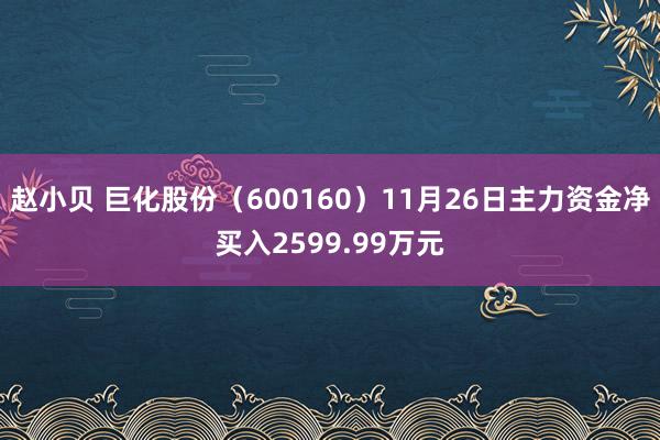 赵小贝 巨化股份（600160）11月26日主力资金净买入2599.99万元